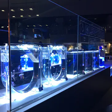 すみだ水族館に投稿された画像（2021/4/6）