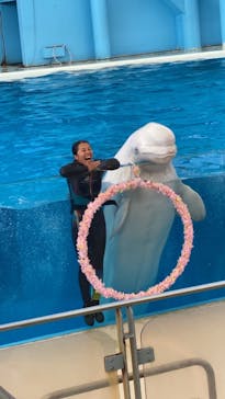 横浜・八景島シーパラダイスに投稿された画像（2021/4/6）