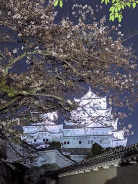 姫路城（イベント）に投稿された画像（2021/4/6）