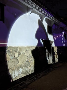 姫路城（イベント）に投稿された画像（2021/4/6）