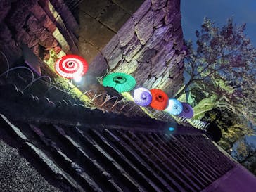 姫路城（イベント）に投稿された画像（2021/4/6）