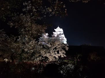 姫路城（イベント）に投稿された画像（2021/4/6）