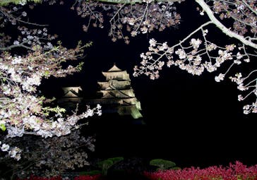 姫路城（イベント）に投稿された画像（2021/4/6）