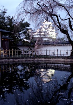 姫路城（イベント）に投稿された画像（2021/4/6）