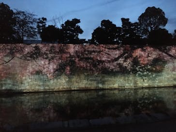 二条城×ネイキッド 二条城夏まつり2021に投稿された画像（2021/4/6）