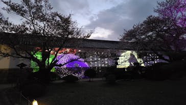 姫路城（イベント）に投稿された画像（2021/4/6）