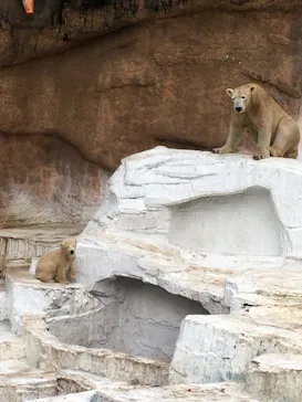 天王寺動物園に投稿された画像（2021/4/6）