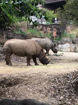 天王寺動物園に投稿された画像（2021/4/6）