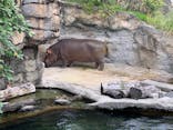 天王寺動物園に投稿された画像（2021/4/6）