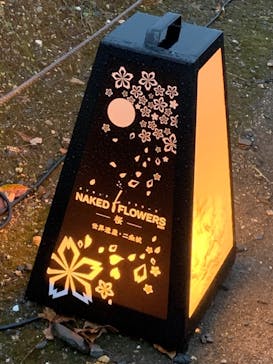 二条城×ネイキッド 二条城夏まつり2021に投稿された画像（2021/4/6）