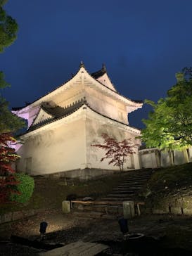 二条城×ネイキッド 二条城夏まつり2021に投稿された画像（2021/4/6）