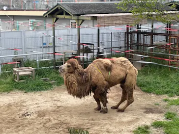 天王寺動物園に投稿された画像（2021/4/6）