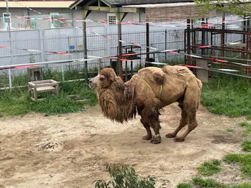 天王寺動物園に投稿された画像（2021/4/6）