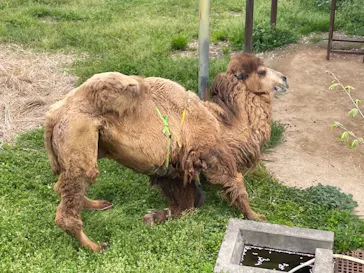 天王寺動物園に投稿された画像（2021/4/6）