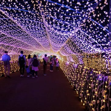 東京メガイルミに投稿された画像（2021/4/6）