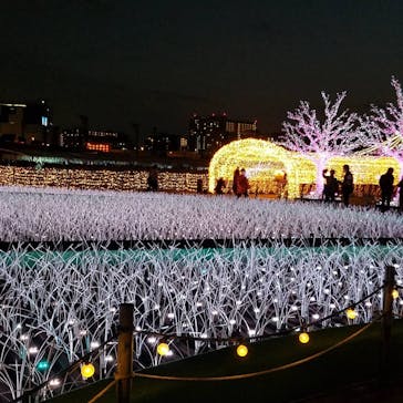 東京メガイルミに投稿された画像（2021/4/6）