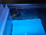 すみだ水族館に投稿された画像（2021/4/7）
