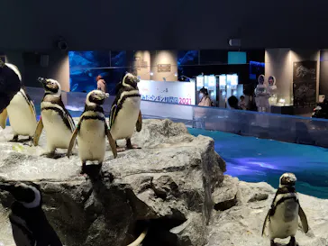 すみだ水族館に投稿された画像（2021/4/6）