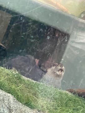 サンシャイン水族館に投稿された画像（2021/4/7）