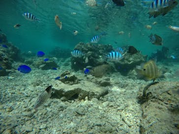 武藤潜水に投稿された画像（2021/4/7）