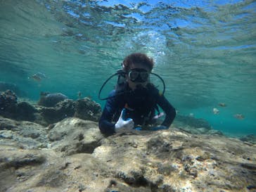 武藤潜水に投稿された画像（2021/4/7）