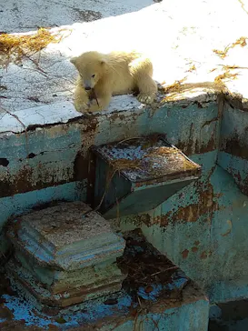 天王寺動物園に投稿された画像（2021/4/7）