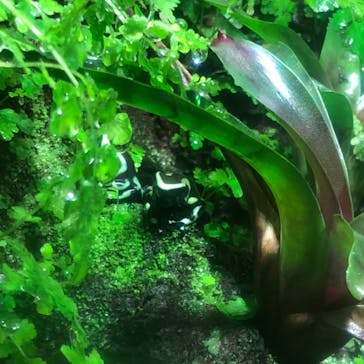 マクセル アクアパーク品川に投稿された画像（2021/4/7）