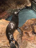 すみだ水族館に投稿された画像（2021/4/7）