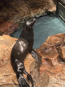 すみだ水族館に投稿された画像（2021/4/7）