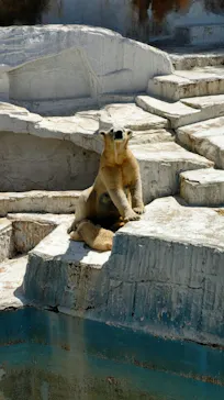 天王寺動物園に投稿された画像（2021/4/7）