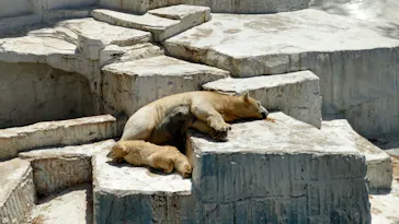 天王寺動物園に投稿された画像（2021/4/7）