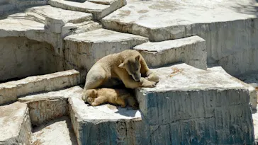 天王寺動物園に投稿された画像（2021/4/7）