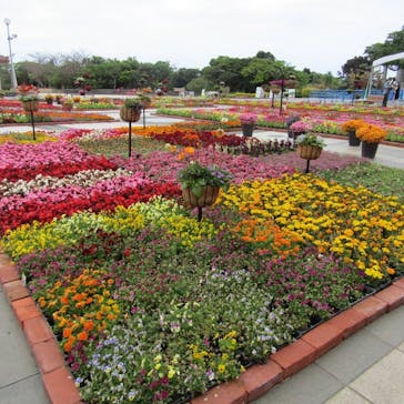 沖縄美ら海水族館に投稿された画像（2021/4/7）