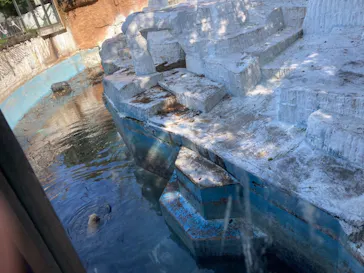 天王寺動物園に投稿された画像（2021/4/7）