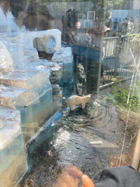 天王寺動物園に投稿された画像（2021/4/7）