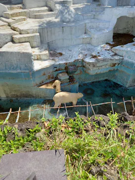 天王寺動物園に投稿された画像（2021/4/7）