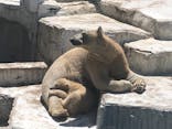 天王寺動物園に投稿された画像（2021/4/7）