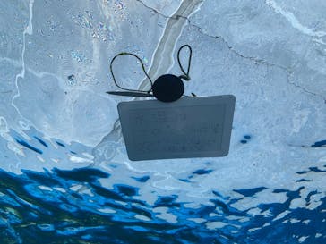 サンシャイン水族館に投稿された画像（2021/4/7）