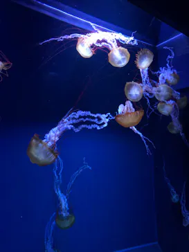 すみだ水族館に投稿された画像（2021/4/7）