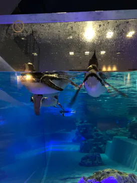 すみだ水族館に投稿された画像（2021/4/7）