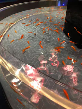 すみだ水族館に投稿された画像（2021/4/7）