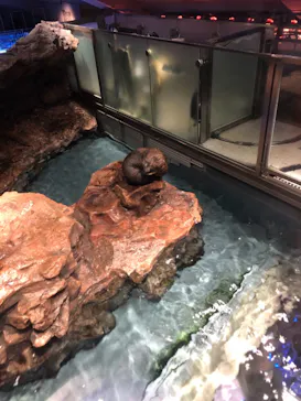 すみだ水族館に投稿された画像（2021/4/7）