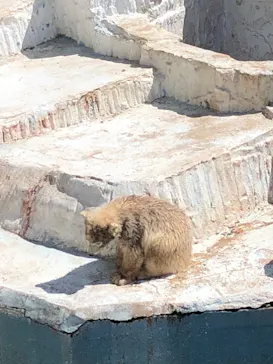 天王寺動物園に投稿された画像（2021/4/7）