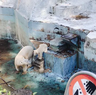 天王寺動物園に投稿された画像（2021/4/7）