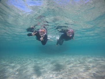 武藤潜水に投稿された画像（2021/4/7）