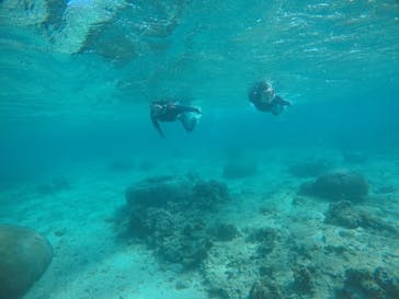 武藤潜水に投稿された画像（2021/4/7）