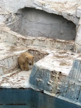 天王寺動物園に投稿された画像（2021/4/7）