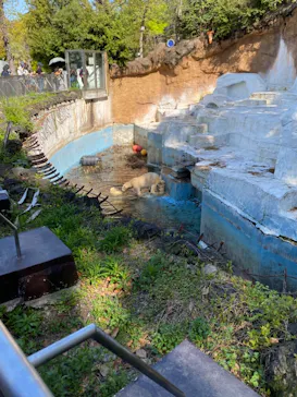 天王寺動物園に投稿された画像（2021/4/7）