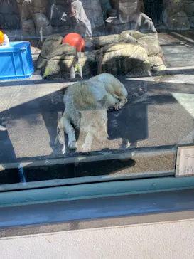 天王寺動物園に投稿された画像（2021/4/7）