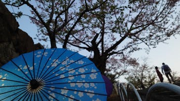 姫路城（イベント）に投稿された画像（2021/4/7）